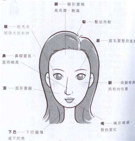 女人的面相|如何看女人的面相